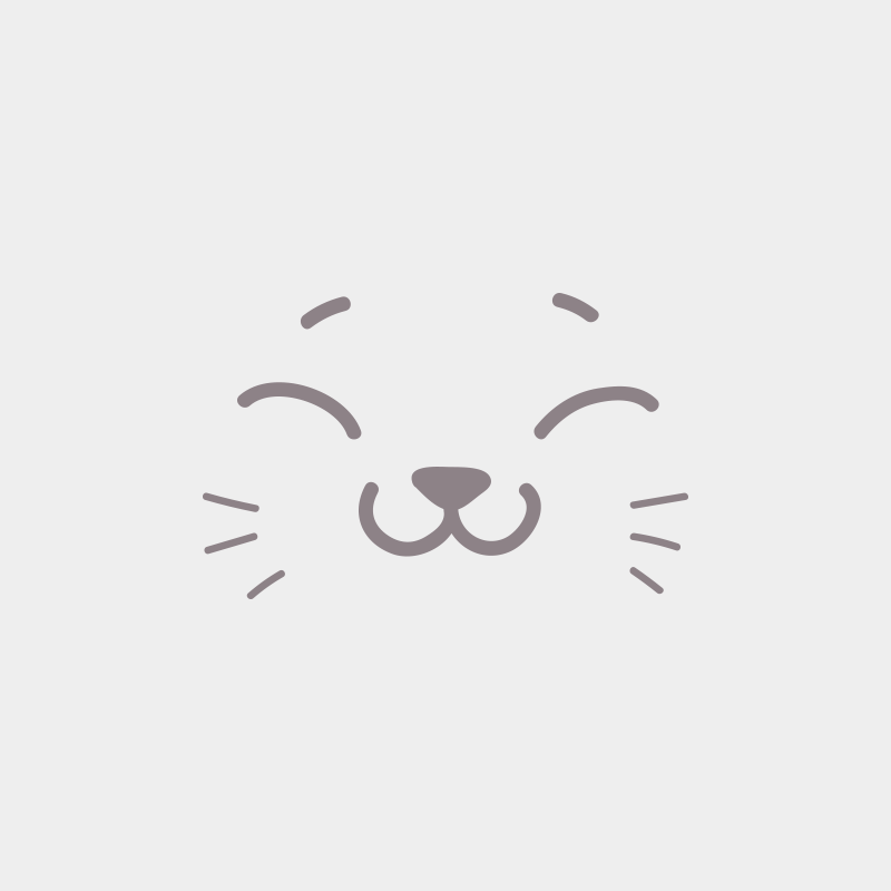 2e chaton (Portée Umania ❤ Thor 2025) - Mâle point Collier vert Mâle Exotic Shorthair 2e chaton (Portée Umania ❤ Thor 2025) - Mâle point Collier vert Mâle Exotic Shorthair