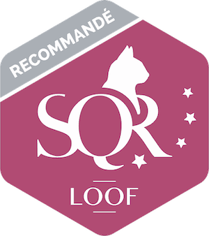 SQR : Recommandé SQR : Recommandé